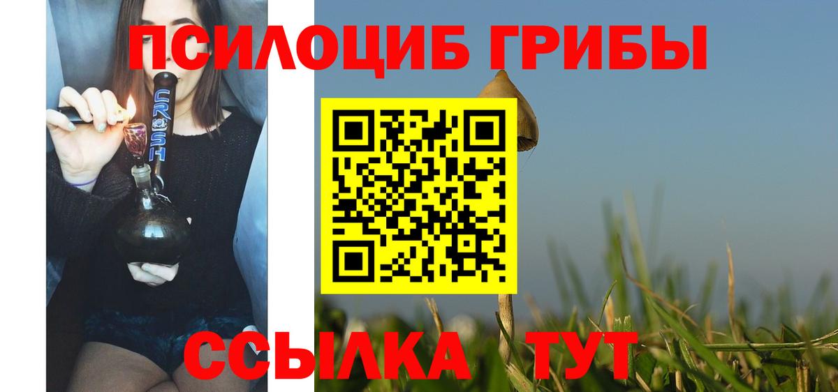 Ефремов  Галлюциногенные грибы GOLDEN TEACHER  Псилоцибиновые грибы прущие грибы  Вход с VPN 