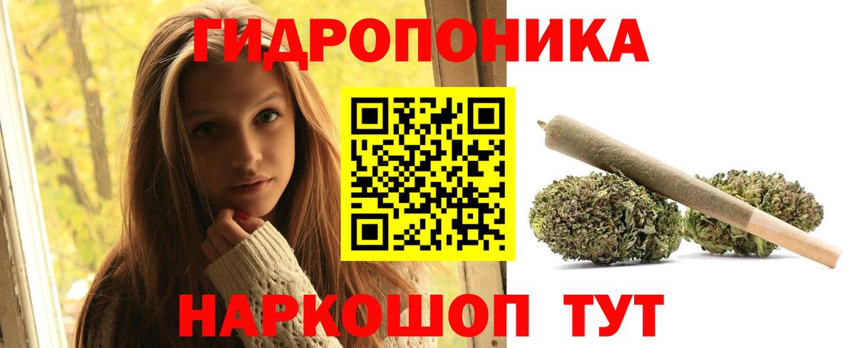 Шишки марихуана марихуана Ефремов